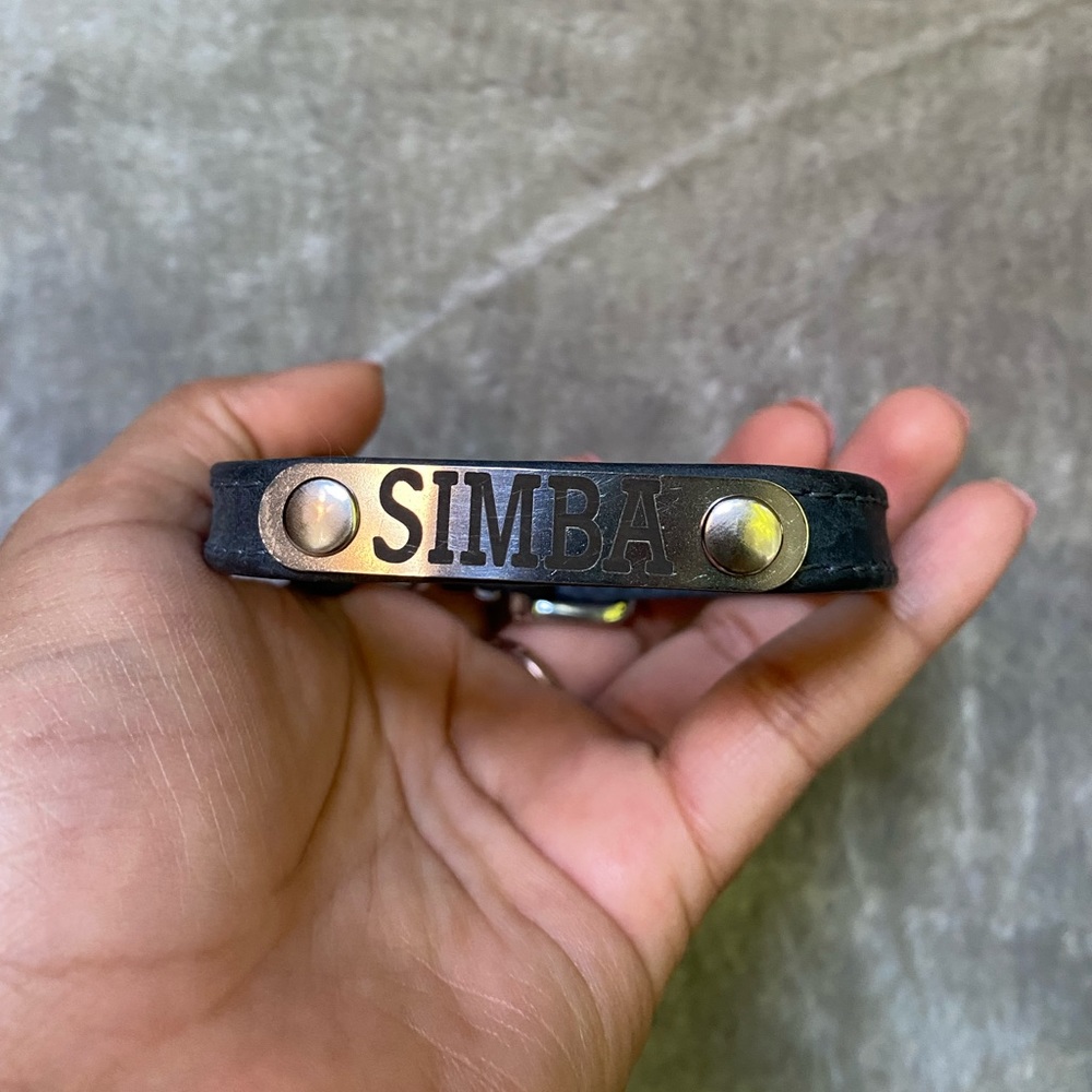 Cat or Kitten Collar